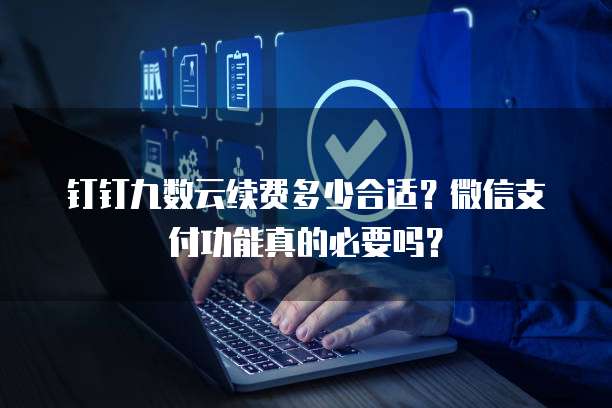 钉钉九数云续费多少合适?微信支付功能真的必要吗?