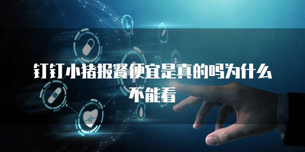 钉钉小猪报餐便宜是真的吗为什么不能看