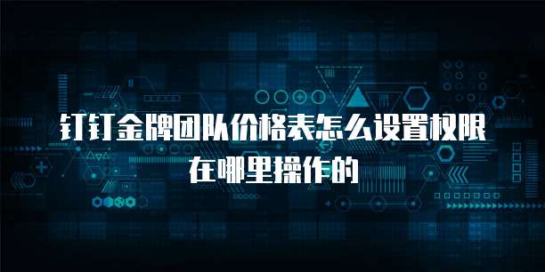 钉钉金牌团队价格表怎么设置权限在哪里操作的