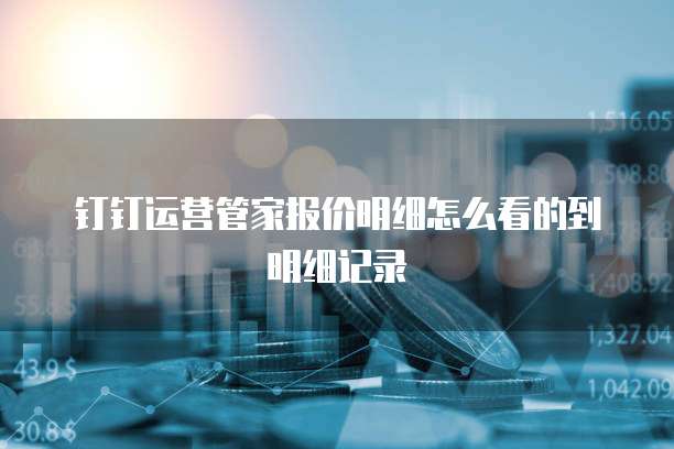 钉钉运营管家报价明细怎么看的到明细记录