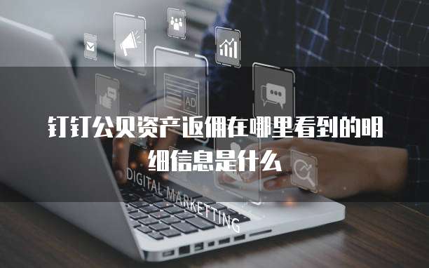 钉钉公贝资产返佣在哪里看到的明细信息是什么