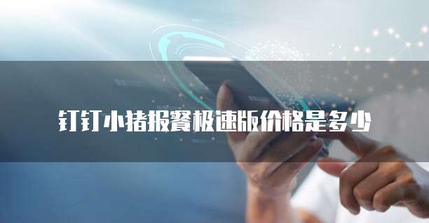 钉钉小猪报餐极速版价格是多少
