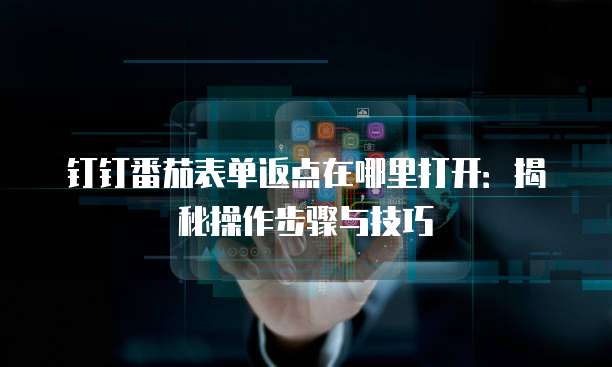钉钉番茄表单返点在哪里打开:揭秘操作步骤与技巧