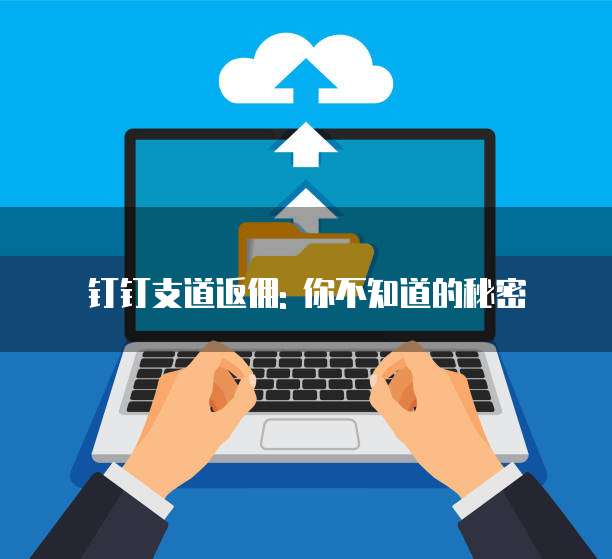 钉钉支道返佣: 你不知道的秘密