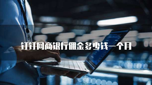 钉钉网商银行佣金多少钱一个月