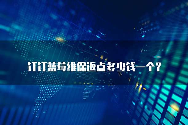 钉钉蓝莓维保返点多少钱一个?