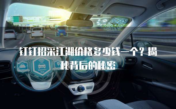 钉钉招采江湖价格多少钱一个?揭秘背后的秘密
