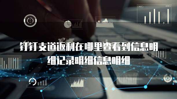 钉钉支道返利在哪里查看到信息明细记录明细信息明细