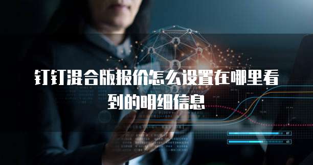 钉钉混合版报价怎么设置在哪里看到的明细信息