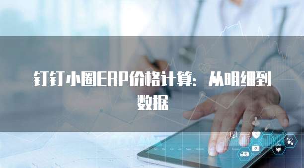 钉钉小圈ERP价格计算:从明细到数据