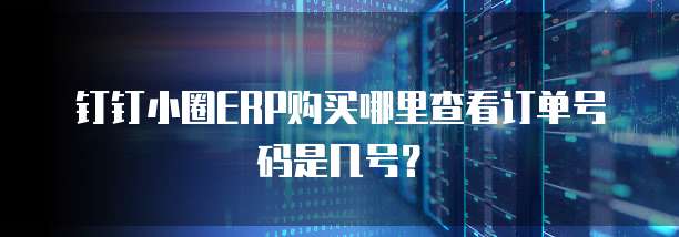 钉钉小圈ERP购买哪里查看订单号码是几号?