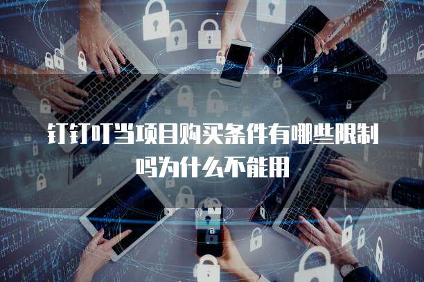 钉钉叮当项目购买条件有哪些限制吗为什么不能用
