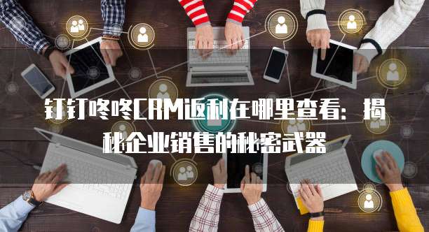 钉钉咚咚CRM返利在哪里查看:揭秘企业销售的秘密武器