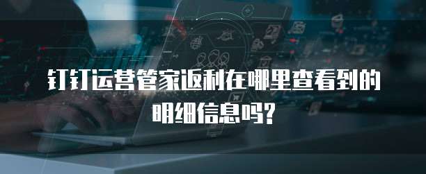 钉钉运营管家返利在哪里查看到的明细信息吗?
