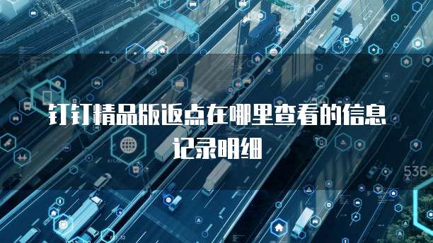 钉钉精品版返点在哪里查看的信息记录明细