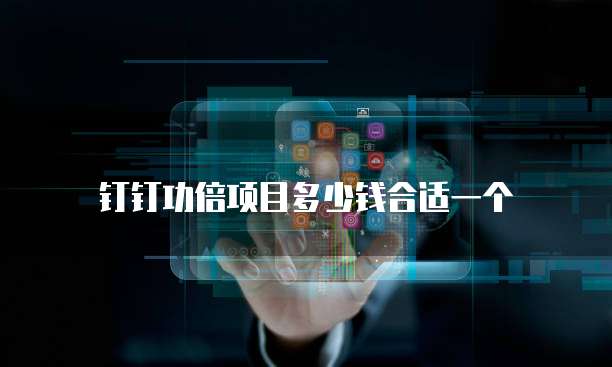 钉钉功倍项目多少钱合适一个