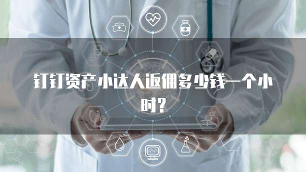 钉钉资产小达人返佣多少钱一个小时?