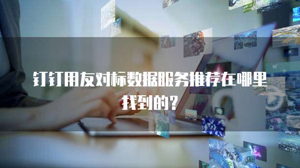钉钉用友对标数据服务推荐在哪里找到的?