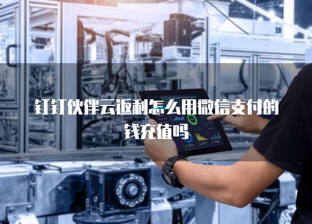 钉钉伙伴云返利怎么用微信支付的钱充值吗