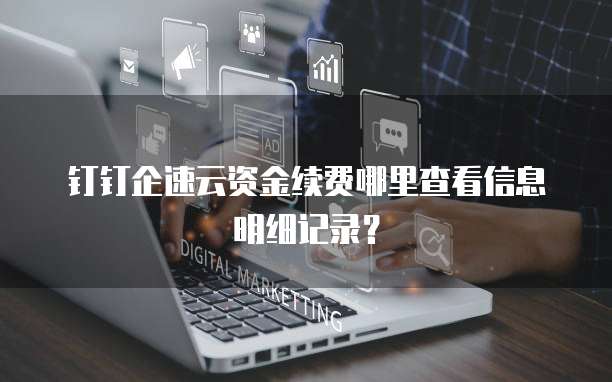 钉钉企速云资金续费哪里查看信息明细记录?