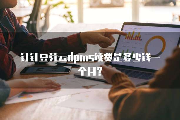 钉钉豆芽云dpms续费是多少钱一个月？