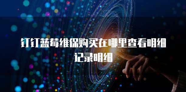 钉钉蓝莓维保购买在哪里查看明细记录明细
