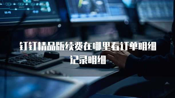 钉钉精品版续费在哪里看订单明细记录明细