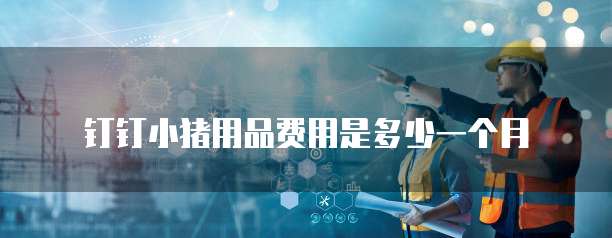 钉钉小猪用品费用是多少一个月