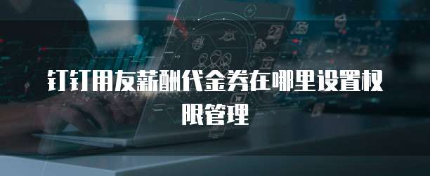 钉钉用友薪酬代金券在哪里设置权限管理
