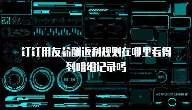 钉钉用友薪酬返利规则在哪里看得到明细记录吗