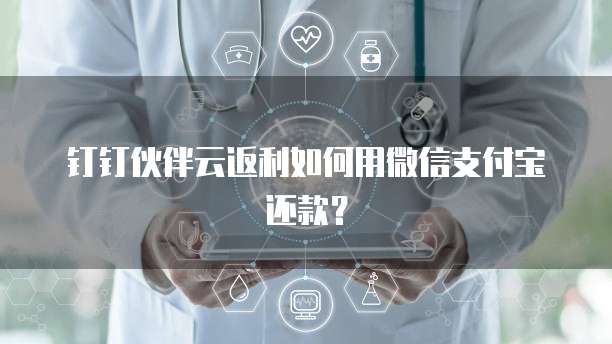 钉钉伙伴云返利如何用微信支付宝还款?