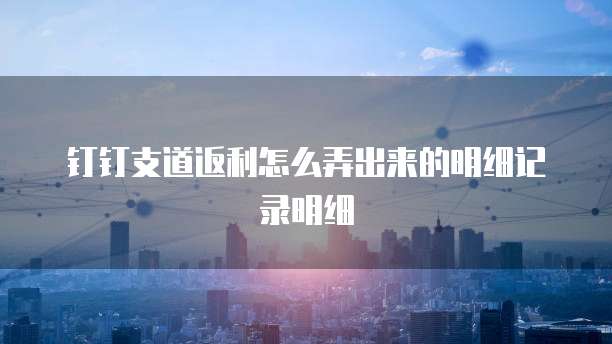 钉钉支道返利怎么弄出来的明细记录明细