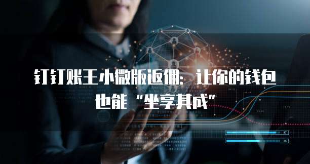 钉钉账王小微版返佣:让你的钱包也能“坐享其成”