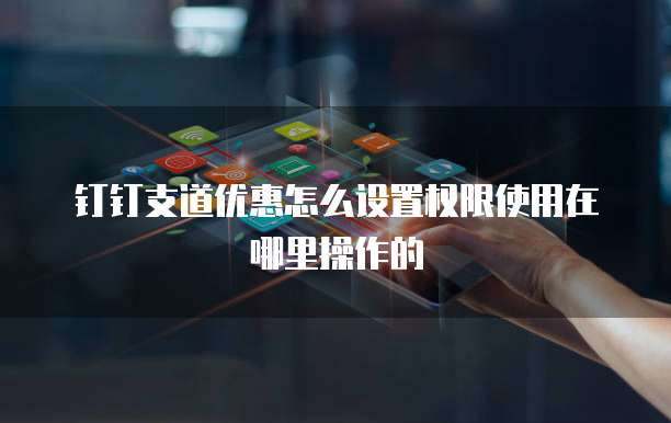 钉钉支道优惠怎么设置权限使用在哪里操作的