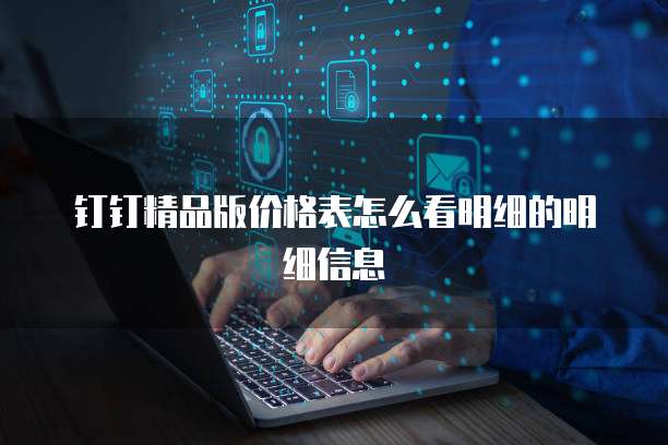 钉钉精品版价格表怎么看明细的明细信息