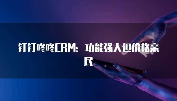 钉钉咚咚CRM:功能强大但价格亲民