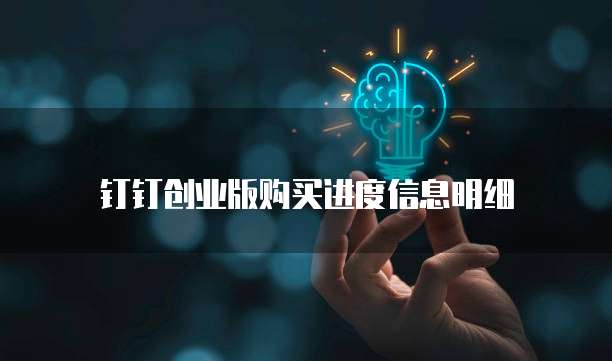 钉钉创业版购买进度信息明细