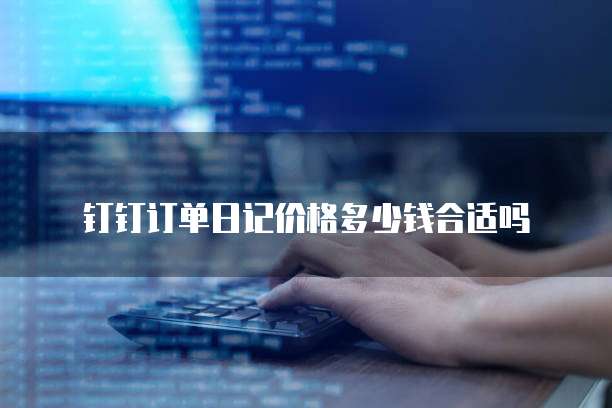 钉钉订单日记价格多少钱合适吗