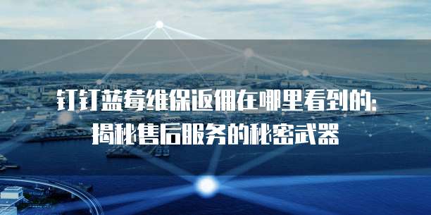 钉钉蓝莓维保返佣在哪里看到的:揭秘售后服务的秘密武器