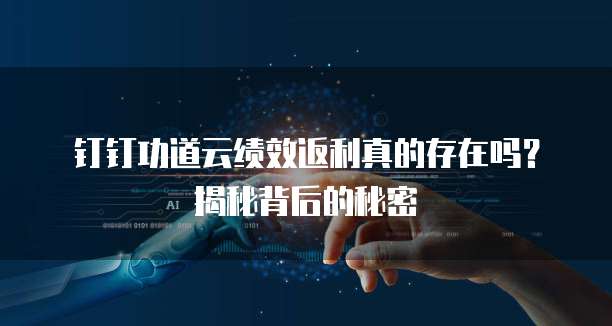 钉钉功道云绩效返利真的存在吗?揭秘背后的秘密