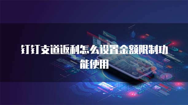 钉钉支道返利怎么设置金额限制功能使用