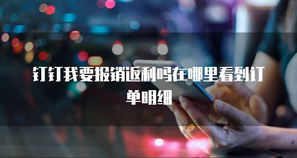 钉钉我要报销返利吗在哪里看到订单明细