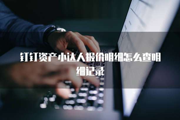 钉钉资产小达人报价明细怎么查明细记录