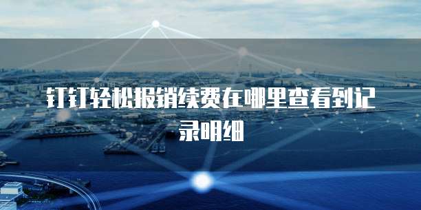 钉钉轻松报销续费在哪里查看到记录明细