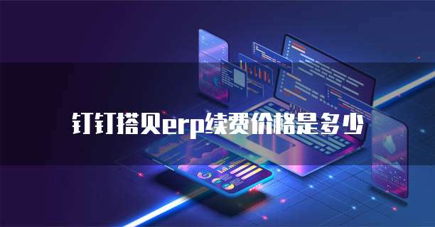钉钉搭贝erp续费价格是多少