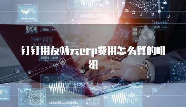 钉钉用友畅云erp费用怎么算的明细