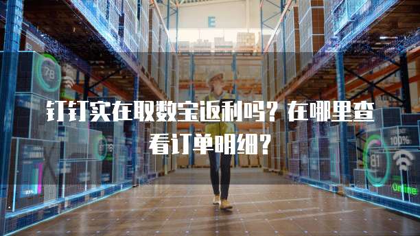 钉钉实在取数宝返利吗?在哪里查看订单明细?