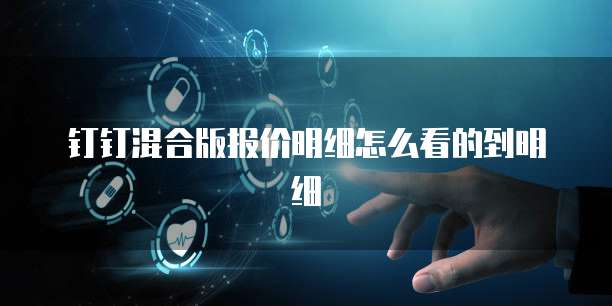钉钉混合版报价明细怎么看的到明细
