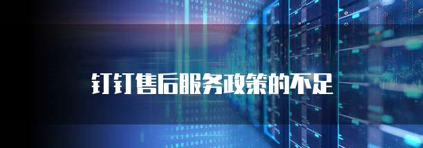 钉钉售后服务政策的不足