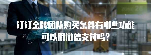 钉钉金牌团队购买条件有哪些功能可以用微信支付吗?